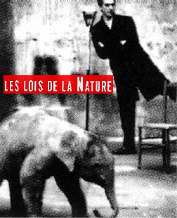 Les lois de la Nature 2